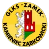 ZAMEK KAMIENIEC ZĄBKOWICKI